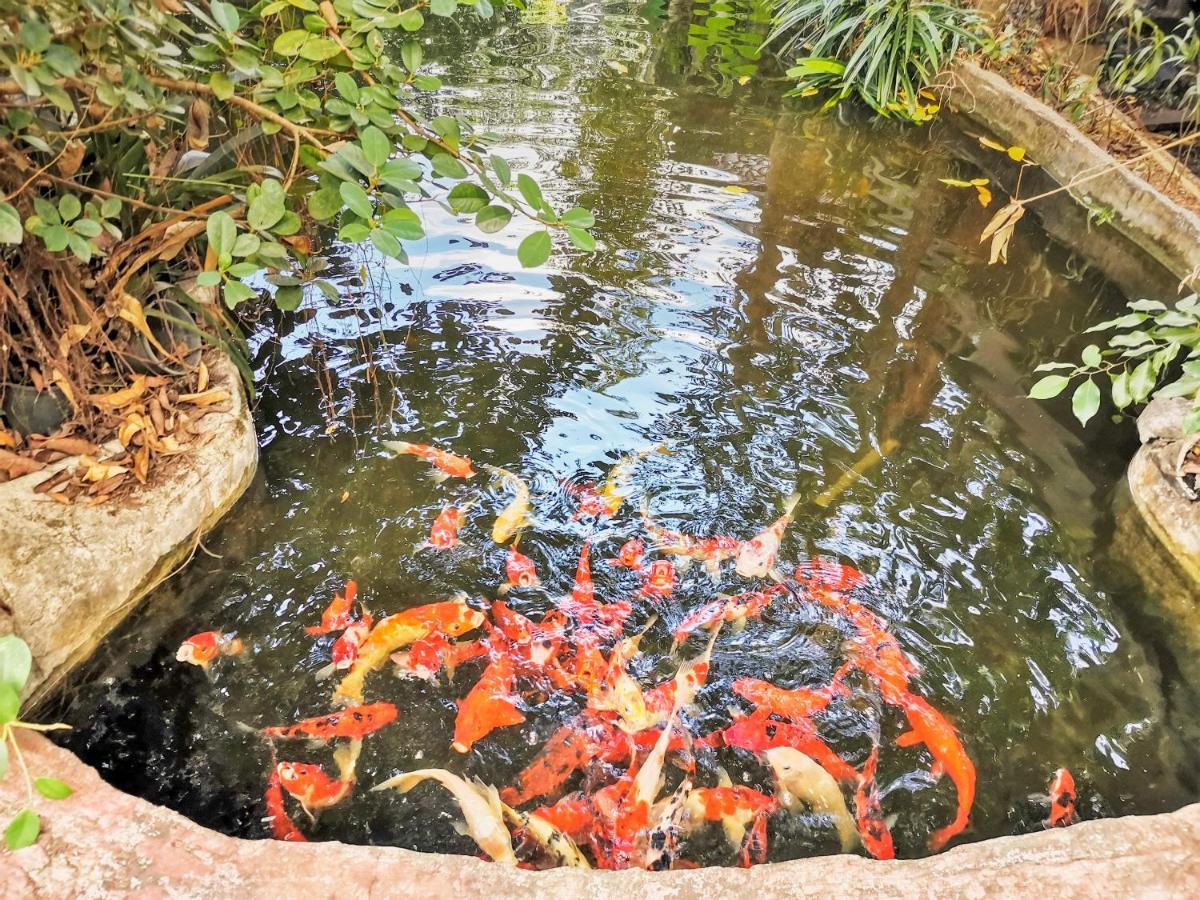 Oyo 604 Ruen Mai Horm Resort Trang Exteriör bild